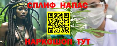 сатива Ярославль