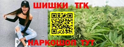 сатива Ярославль