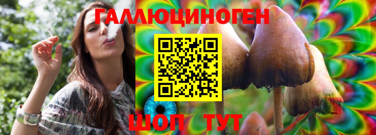 Псилоцибиновые грибы мицелий Благодарный