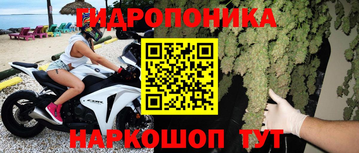 Канабис индика Благодарный